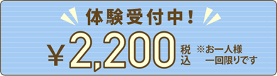 体験トレーニング受付中！￥3,300 税込 ※お一人様1回限りです